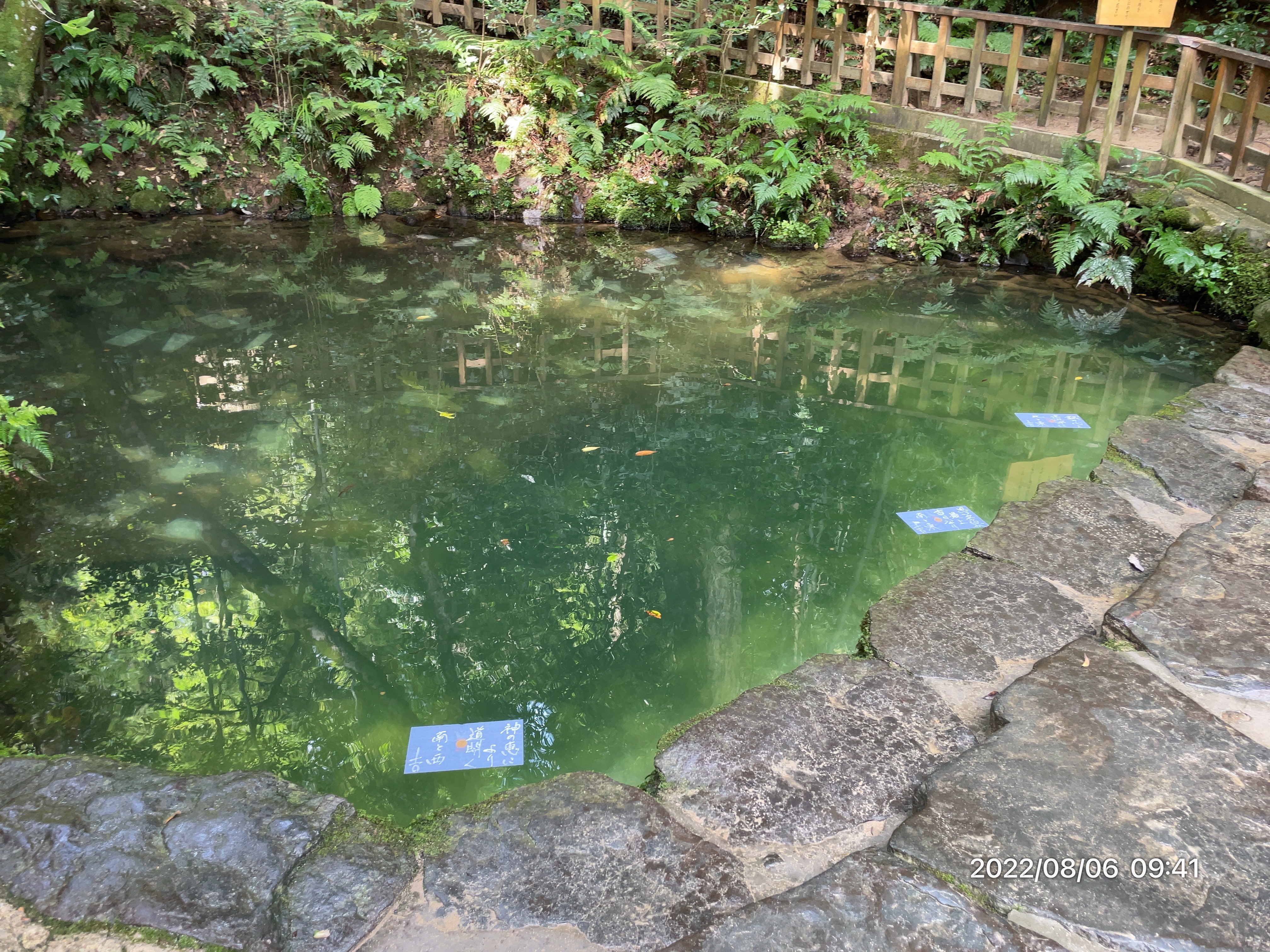 八重垣神社 鏡の池